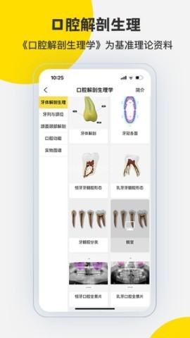 3Dbody解剖