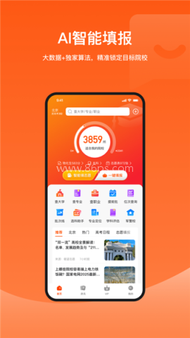 载望志愿