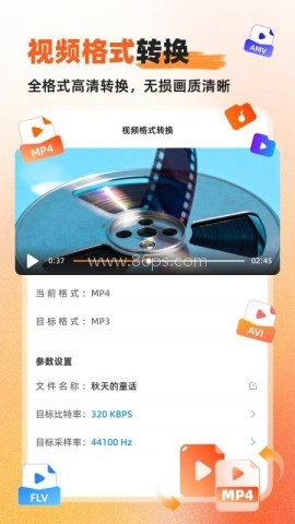 硬柿子音视频转换器