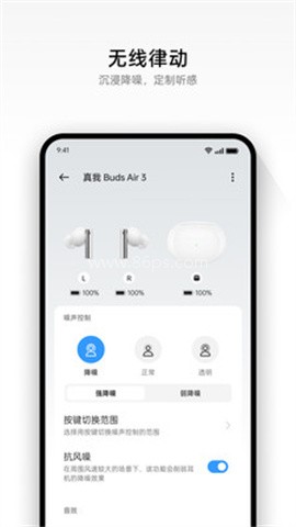 realme Link