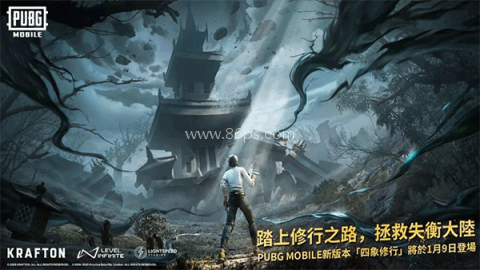 pubg国际版