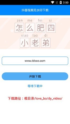 布偶必备工具N