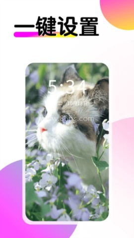 多美壁纸秀 多美壁纸秀