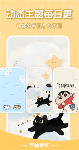 西柚壁纸