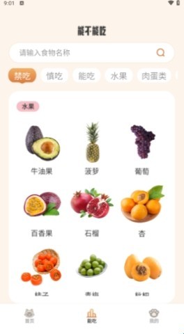小猫陪伴手册 第3张图