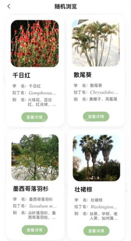 绿图 第2张图