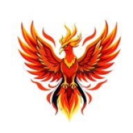 火焰鸟直装v11.9