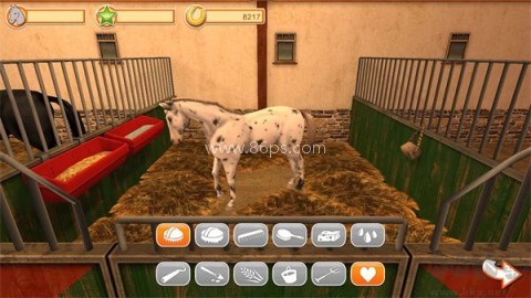 马的世界3d我的坐骑
