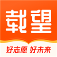 载望志愿
