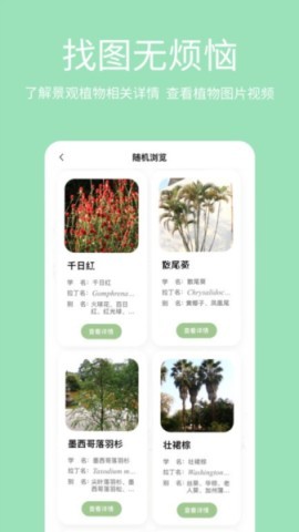 绿图