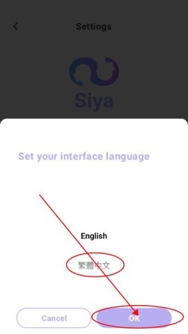 siyaai聊天 第7张图