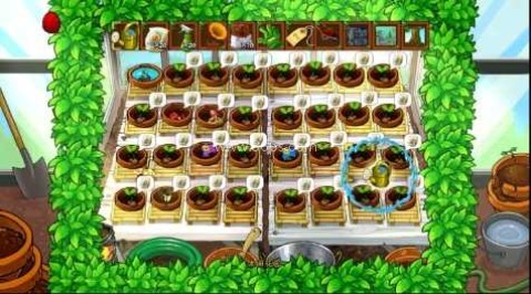 植物大战僵尸冒险时空支线2