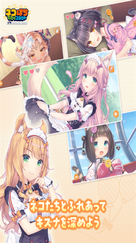 猫娘乐园世界连结