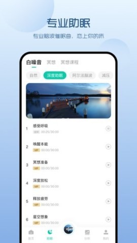 萤火虫睡眠