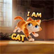 I Am Cat