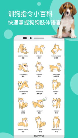 狗语翻译机 狗语翻译机
