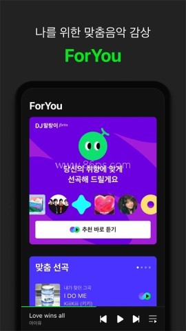 韩国melon