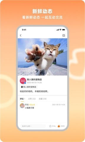 宠业家 第2张图
