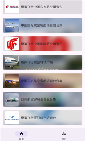 模拟飞行语音包 第1张图