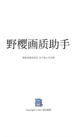 野樱画质助手超广角