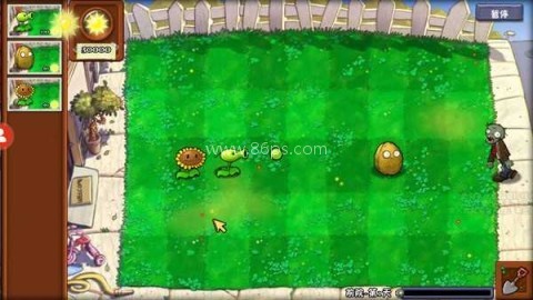 植物大战僵尸冒险时空支线2 第3张图