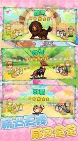 开罗发现狗狗乐园