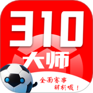 310大师