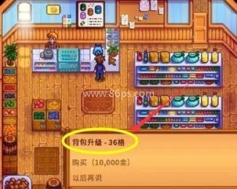 星露谷物语原版 第10张图