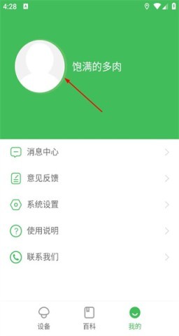 森林甜心 第2张图