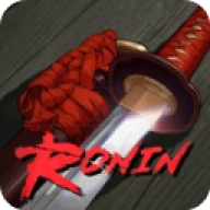 最后一个武士