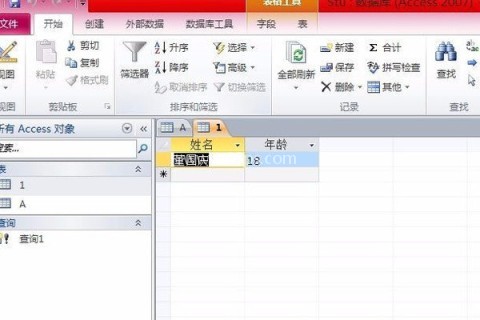 Microsoft Access数据库