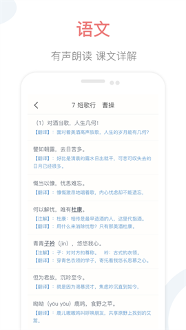 掌上高中