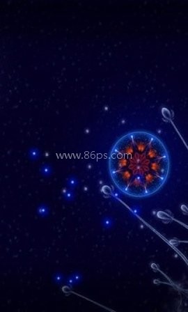 微观世界细胞的生存