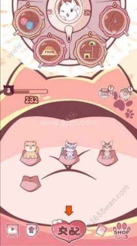 云撸猫咪原版 第2张图