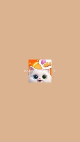 猫舍时光