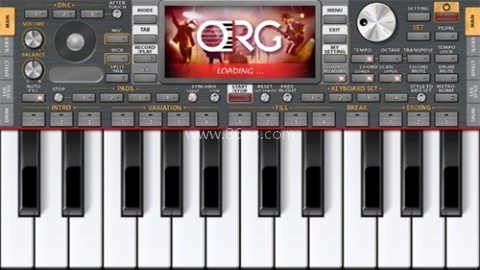 org24手机电子琴