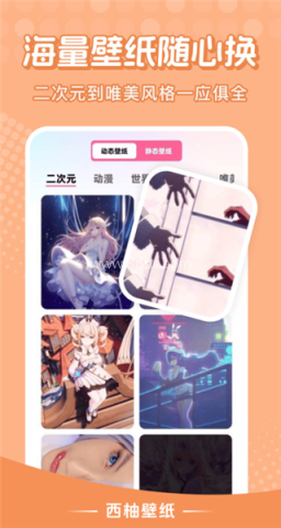 西柚壁纸