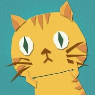 敢问猫在何方