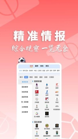 310大师 第2张图