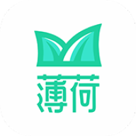 薄荷下载