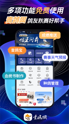 青鸽网