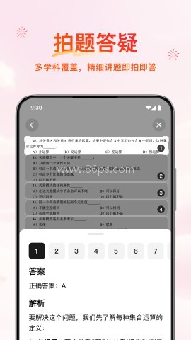 元宝派