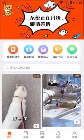世纪天宠 第1张图