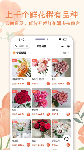 云选鲜花批发