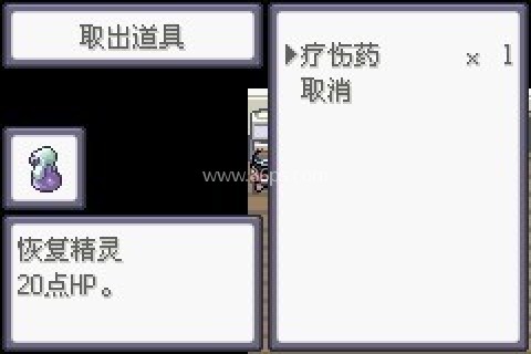 口袋妖怪极光石