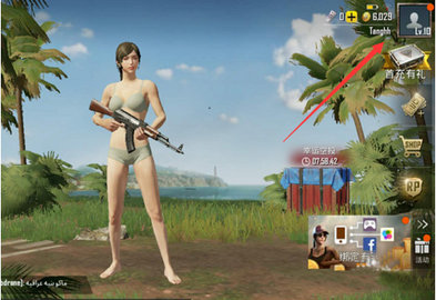 pupg正式服(PUBG MOBILE)