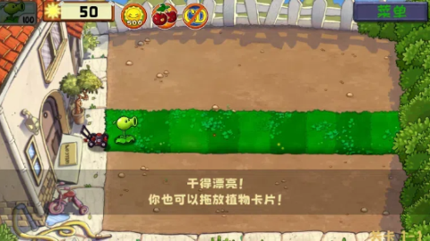 植物大战僵尸精华版