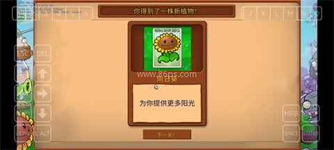 植物大战僵尸重植版 第13张图