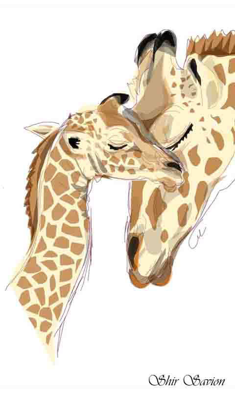 Stencil Art(趣味涂鸦达人)