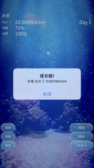 Jellyfish（养育水母的治愈）